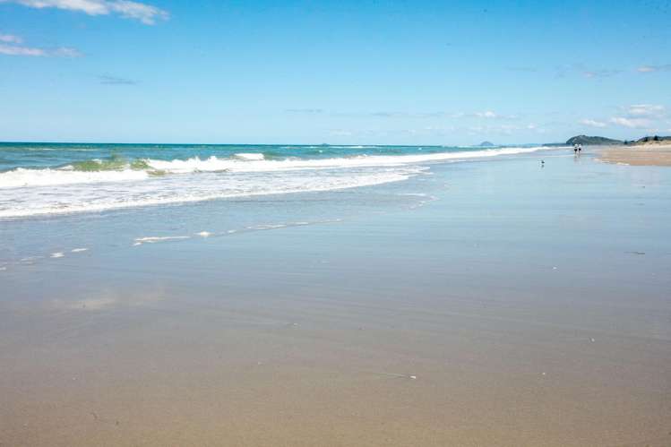 22 The Loop Waihi Beach_35