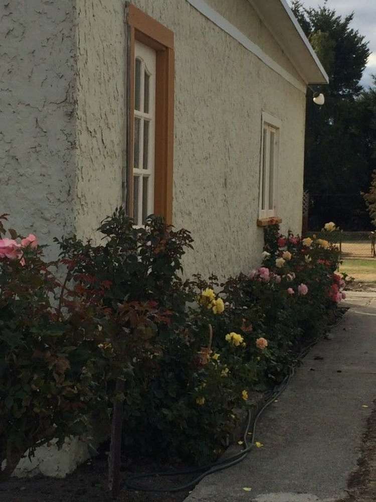 22 Stafford Street Ranfurly_7