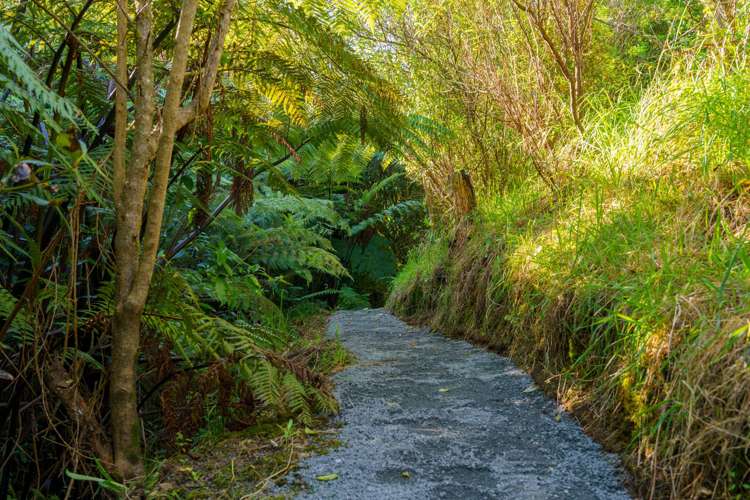 154 Te Pahu Road Te Pahu_41