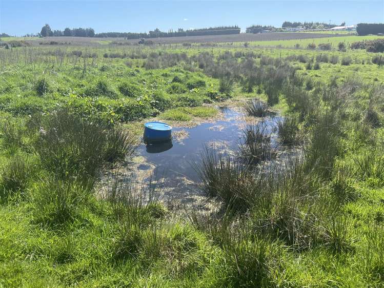 44 Queen Street Balfour_7