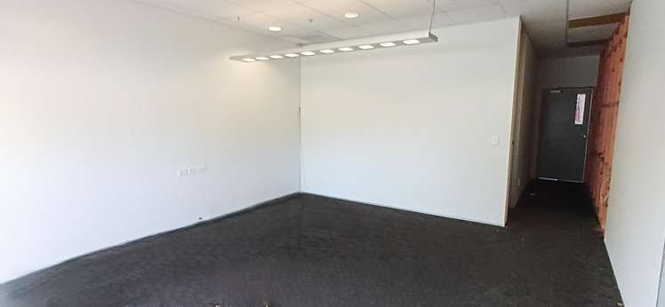 11 McDonald Street Morningside_7