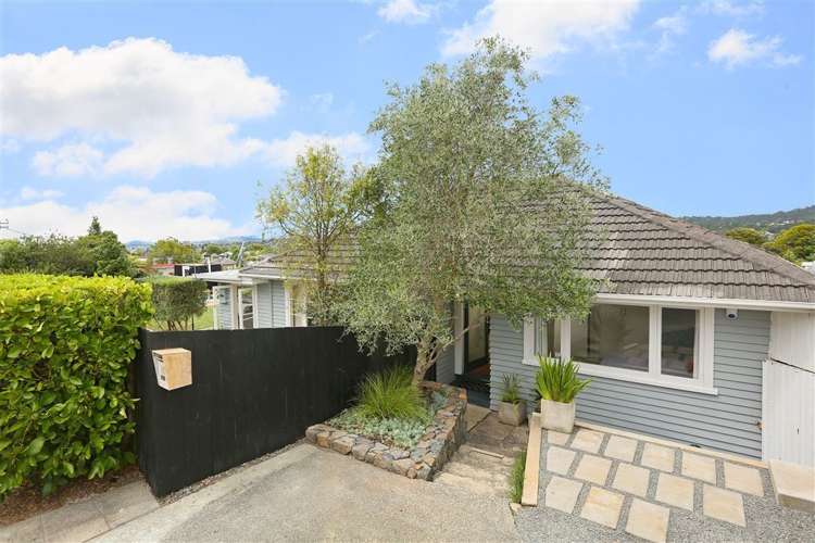 110 Glengarry Road Glen Eden_19