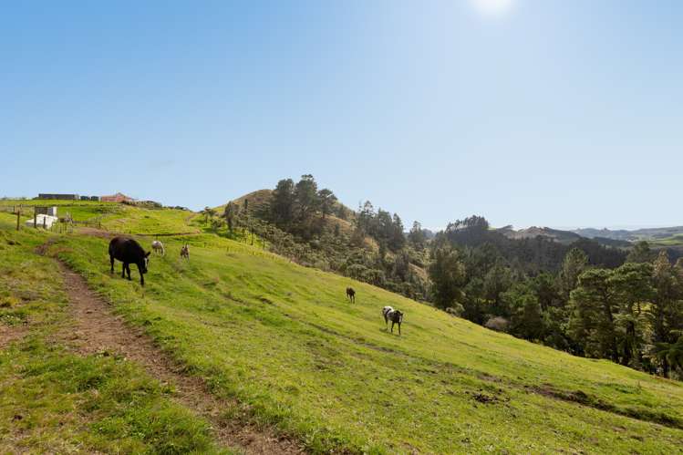 100 Kaitemako Road South Ohauiti_20