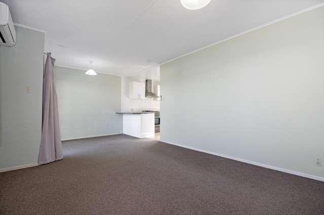 158a Pembroke Street Hamilton Lake_4