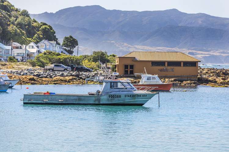 157 Derwent Street Island Bay_17