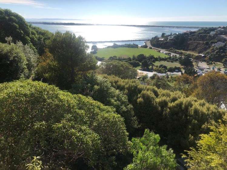 65 Santa Maria Avenue Mount Pleasant_17