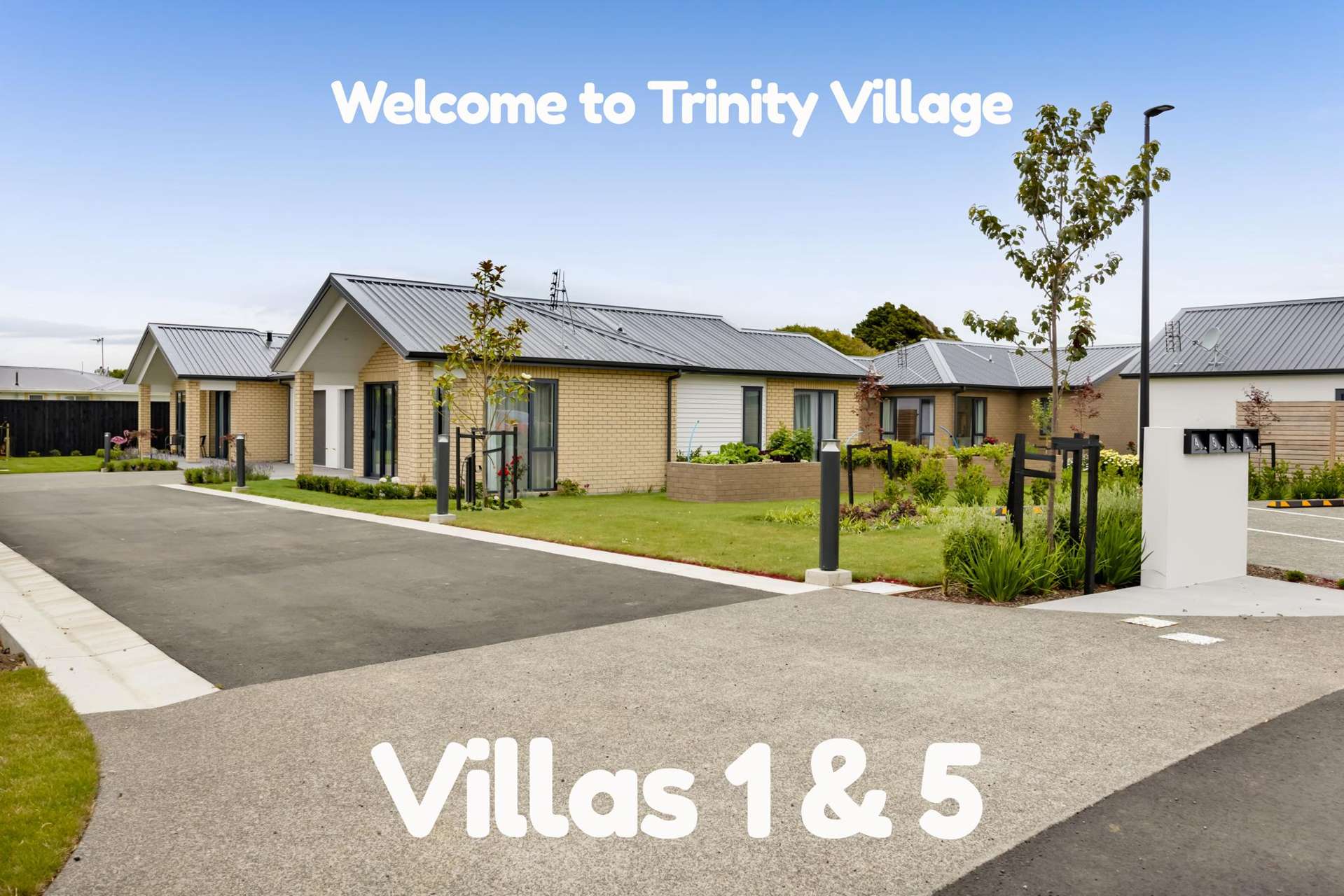 47-61 Puriri Street Hawera_0