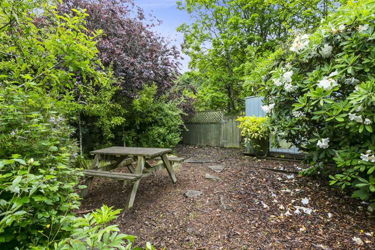 141 Malvern Street Woodhaugh_13