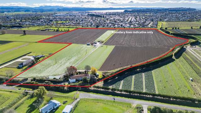 Premium Rural Holding with Future Potential