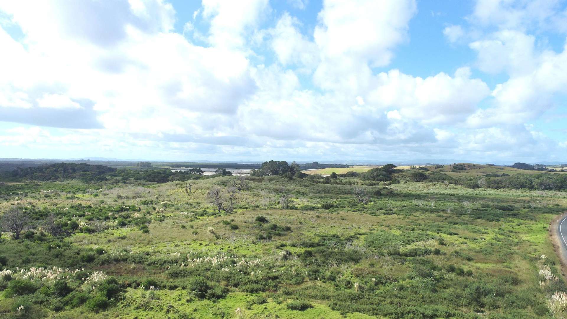 State Highway 1 Waiharara_0
