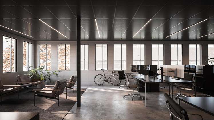 10 Heather Street Parnell_4