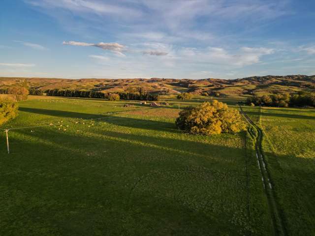 109 Ida Valley - Omakau Road Ophir_2