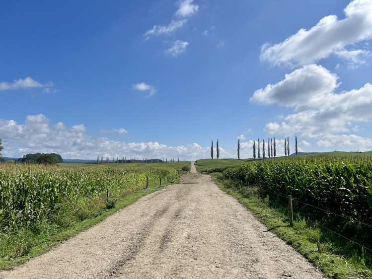 3931 Galatea Road Murupara Surrounds_17