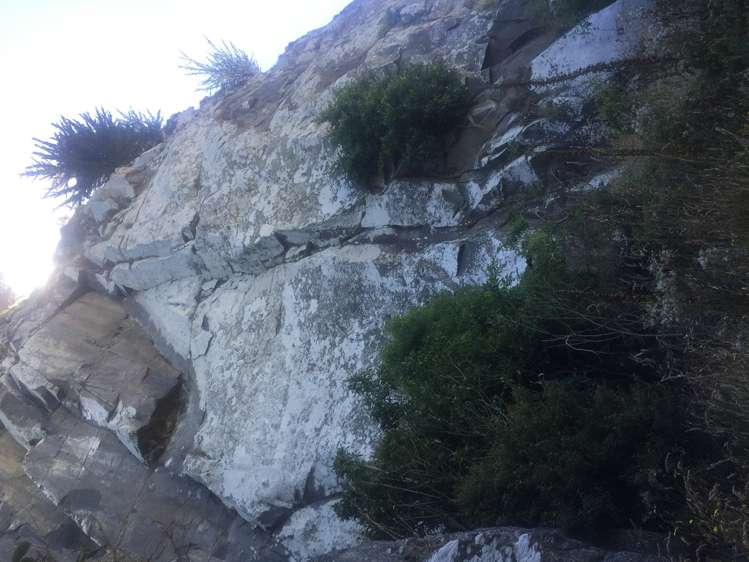 40 Driver Street Long Beach_6