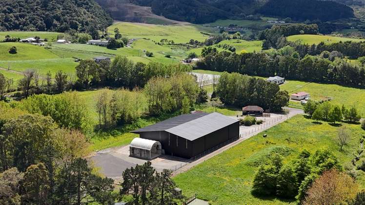 21 Irish Road Mangatawhiri_25