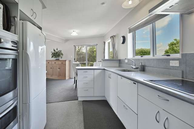 410 Hemi Street Raureka_2