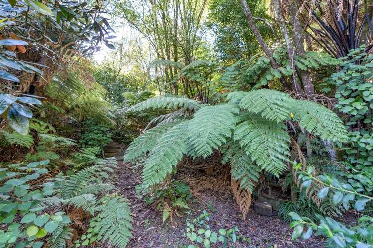 9 Montrose Crescent Huntington_14