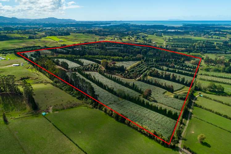 299 Lockington Road Aongatete_0