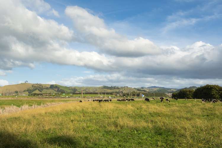 32 Oreti Crescent Papamoa_19