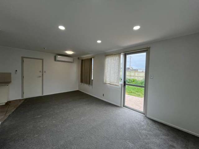 1/115 Trafalgar Street Onehunga_3