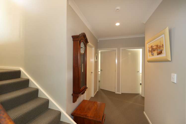 33 Waghorne Street Ahuriri_17