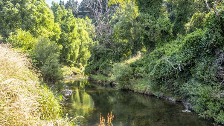 1182 Opaki Kaiparoro Road Mauriceville_16