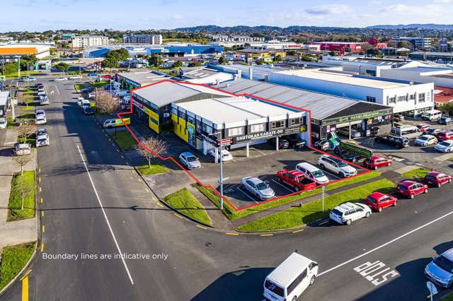 13 Puriri Street New Lynn_2