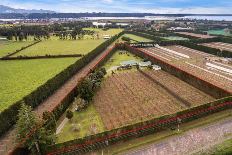 113 Beach Road Katikati_20