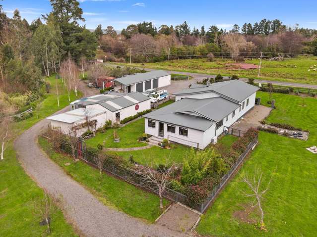100 Cole Street Dannevirke_1
