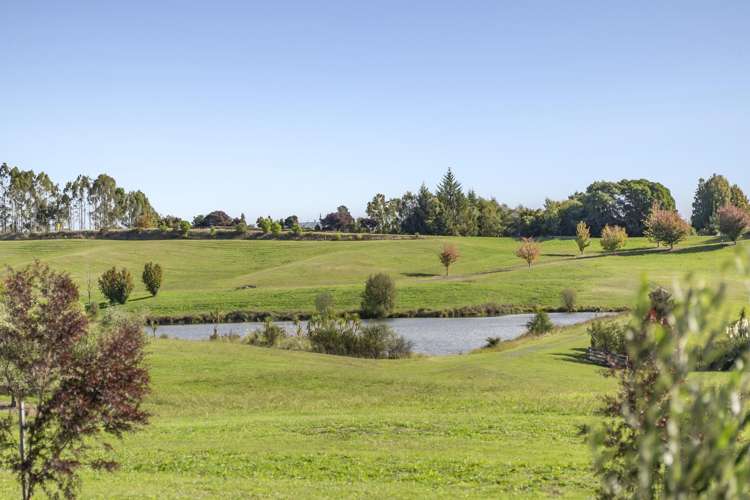 55 Petra Way Mahana_15