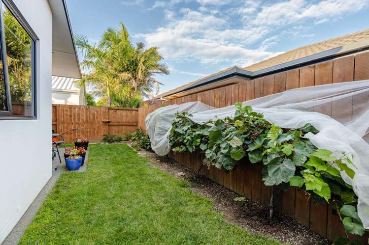 57 Awatira Drive Papamoa_24