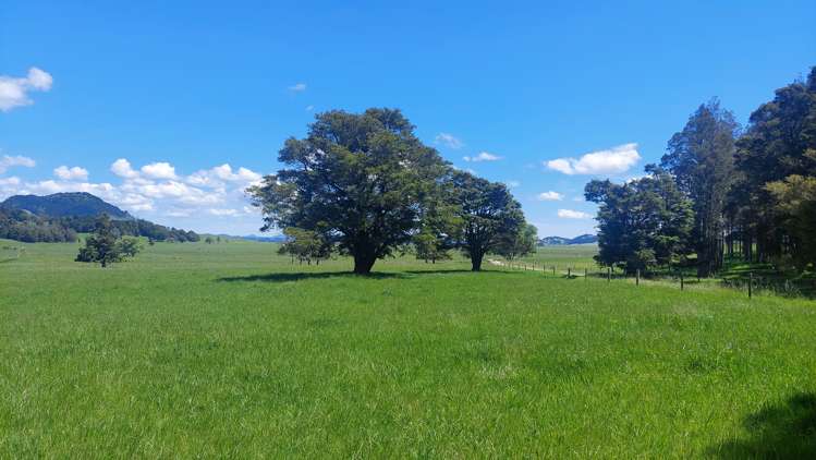 111 Corbett Road Hikurangi_11