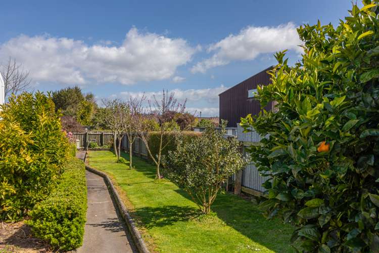 88 Mount Herbert Road Waipukurau and Surrounds_17