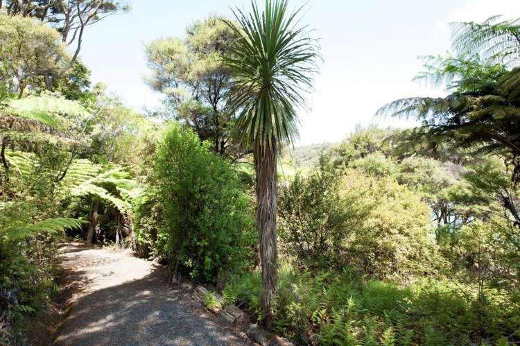 339 Wharau Road Kerikeri_13