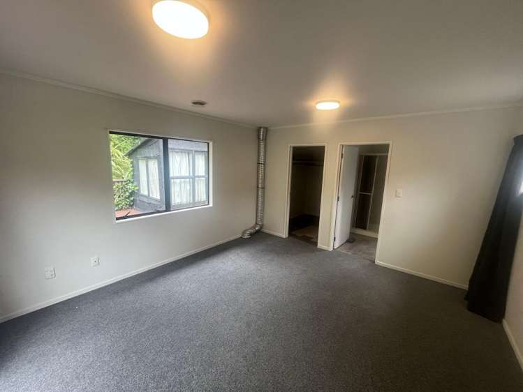 48 Norway Street Aro Valley_15