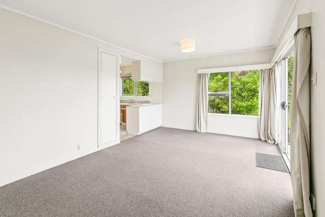 110c Grafton Road Roseneath_3