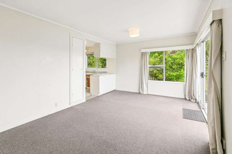 110c Grafton Road Roseneath_3