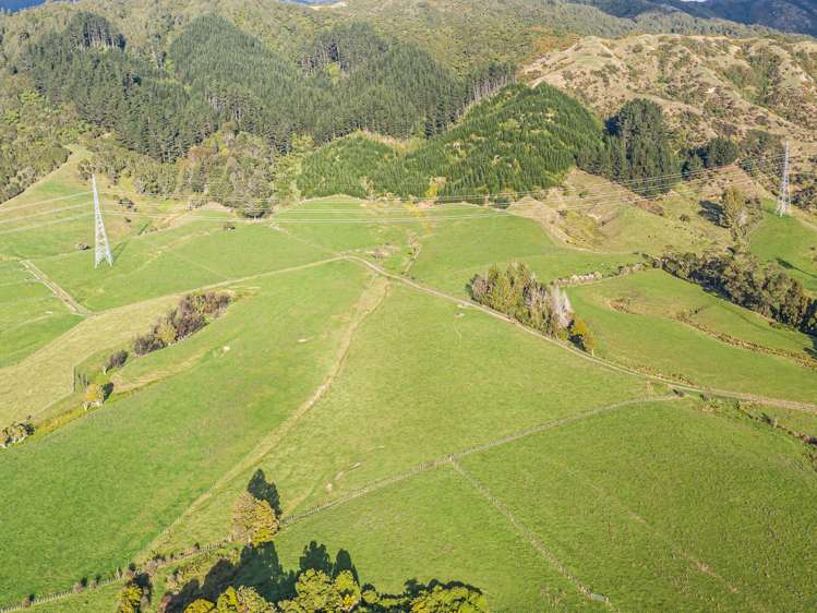 136 Florida Road Ohau_6