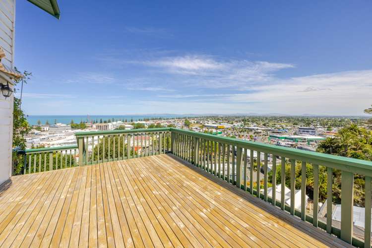 42 Cameron Road Bluff Hill_10