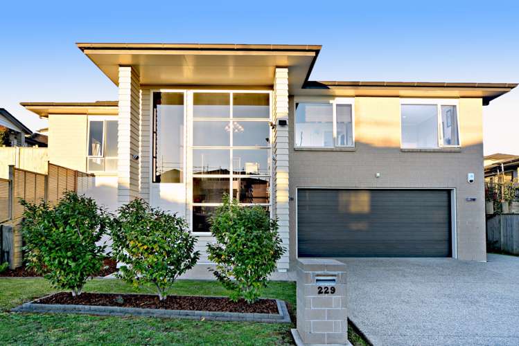 229 Jeffs Road Flat Bush_22