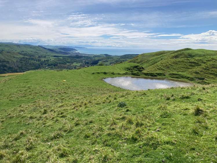 715 Te Apiti Road Waimarama_14