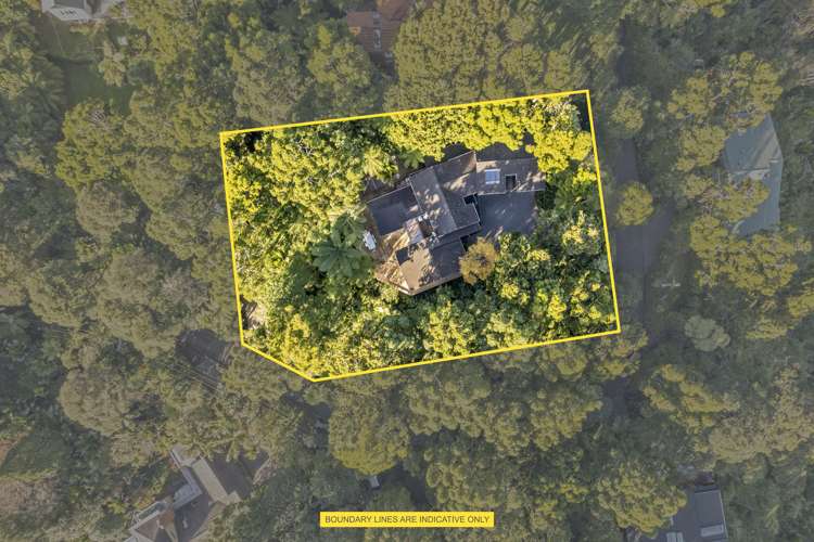 12 Westridge Road Titirangi_27