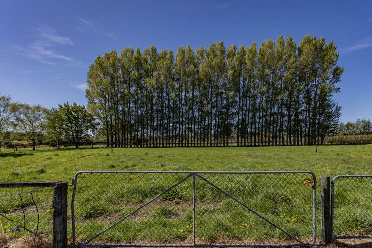 11 Orchard Place Clarkville_27