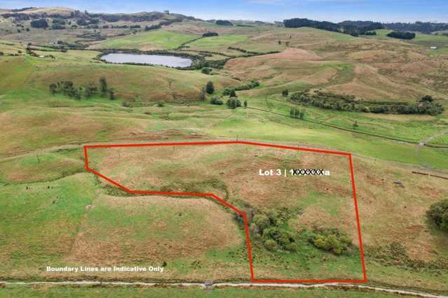 166c Renown Road Waikokowai_1