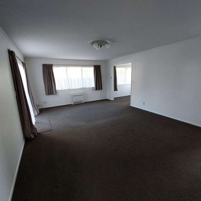 53 Rongopai Street Palmerston North_3