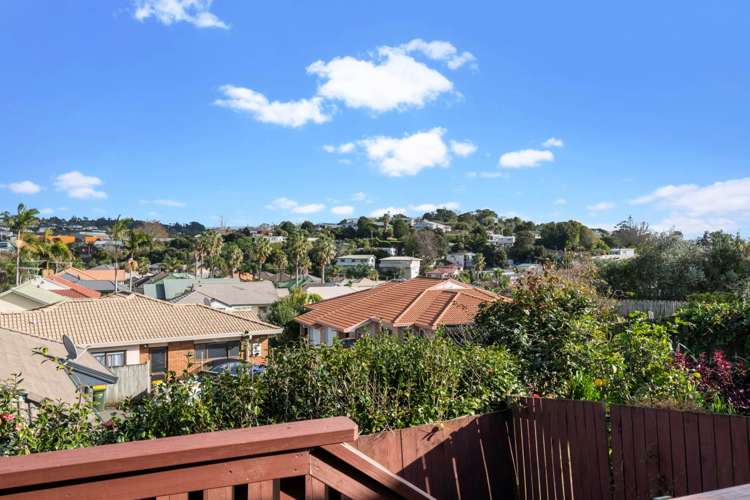 3 Palmgreen Court Stanmore Bay_17