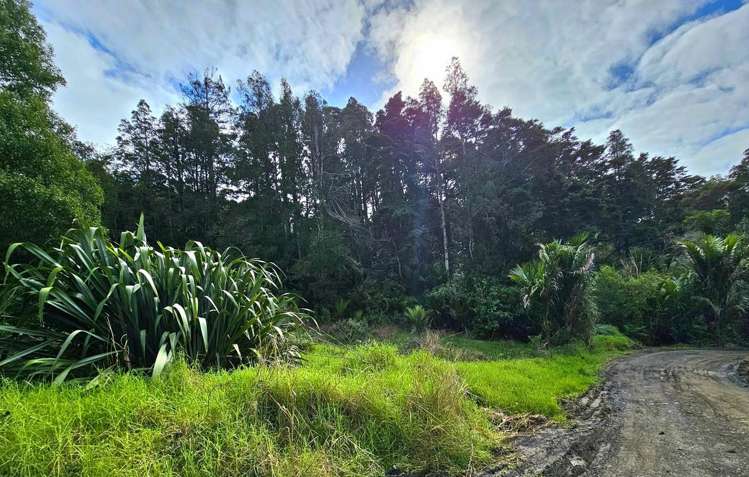 243 Creamery Road Kohukohu_15