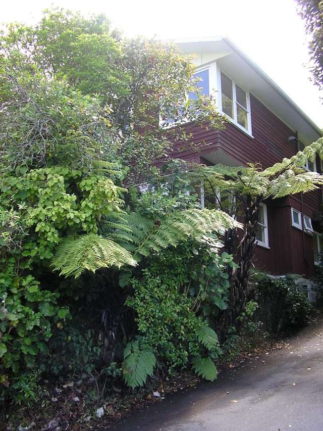 27 Waiapu Road Kelburn_2