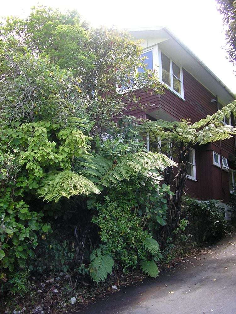 27 Waiapu Road Kelburn_2