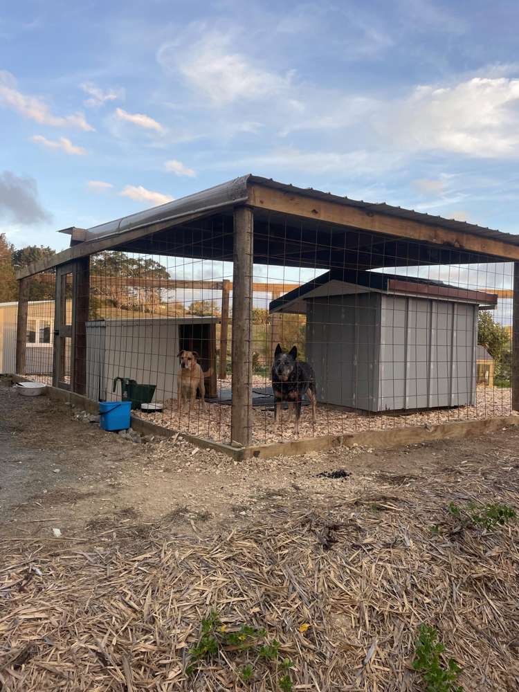 852 Oneriri Road Kaiwaka_47